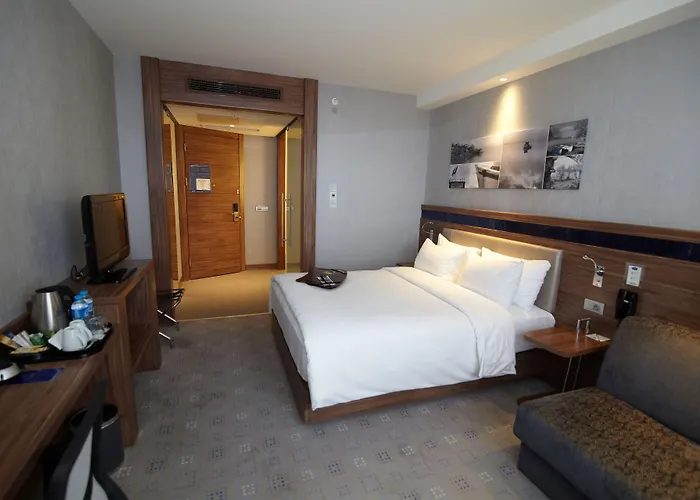 Hampton By Hilton Hotel Bursa